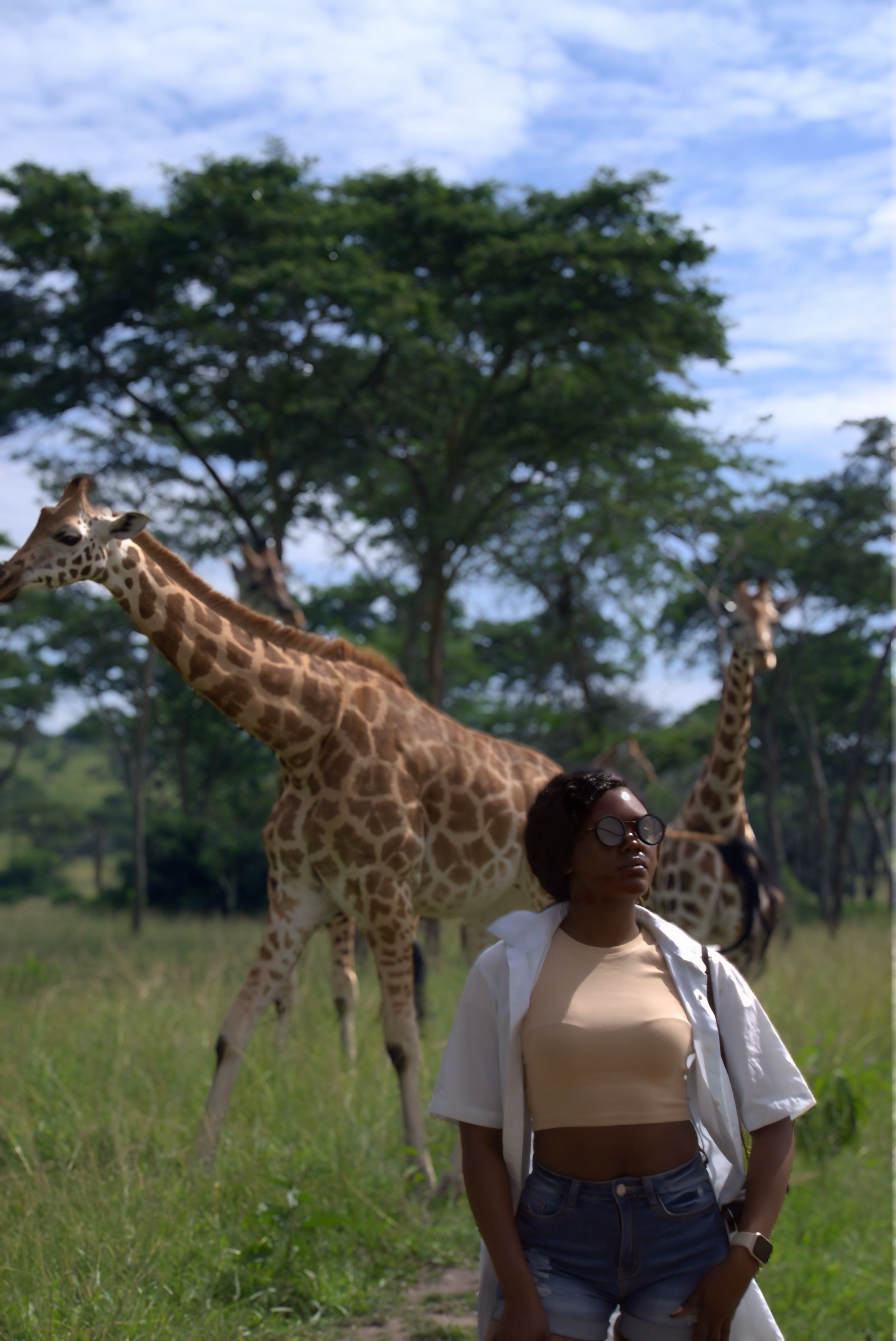 Uganda wildlife encounter