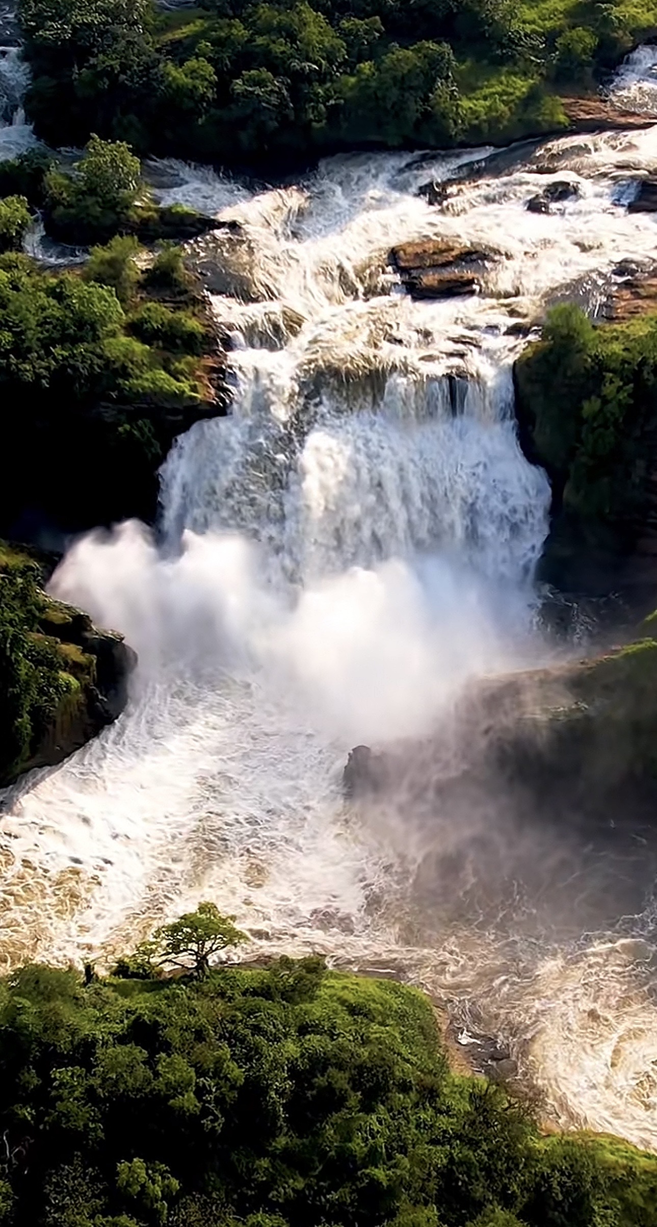 Murchison Falls Safari