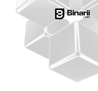 binariilabscube.png