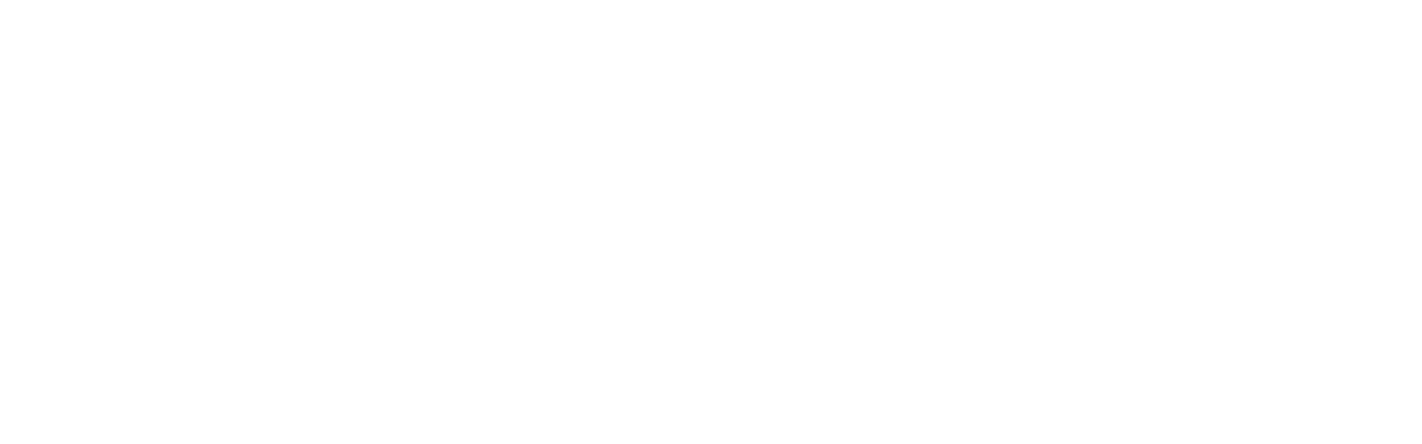 art_quest_academy_logo_white.png