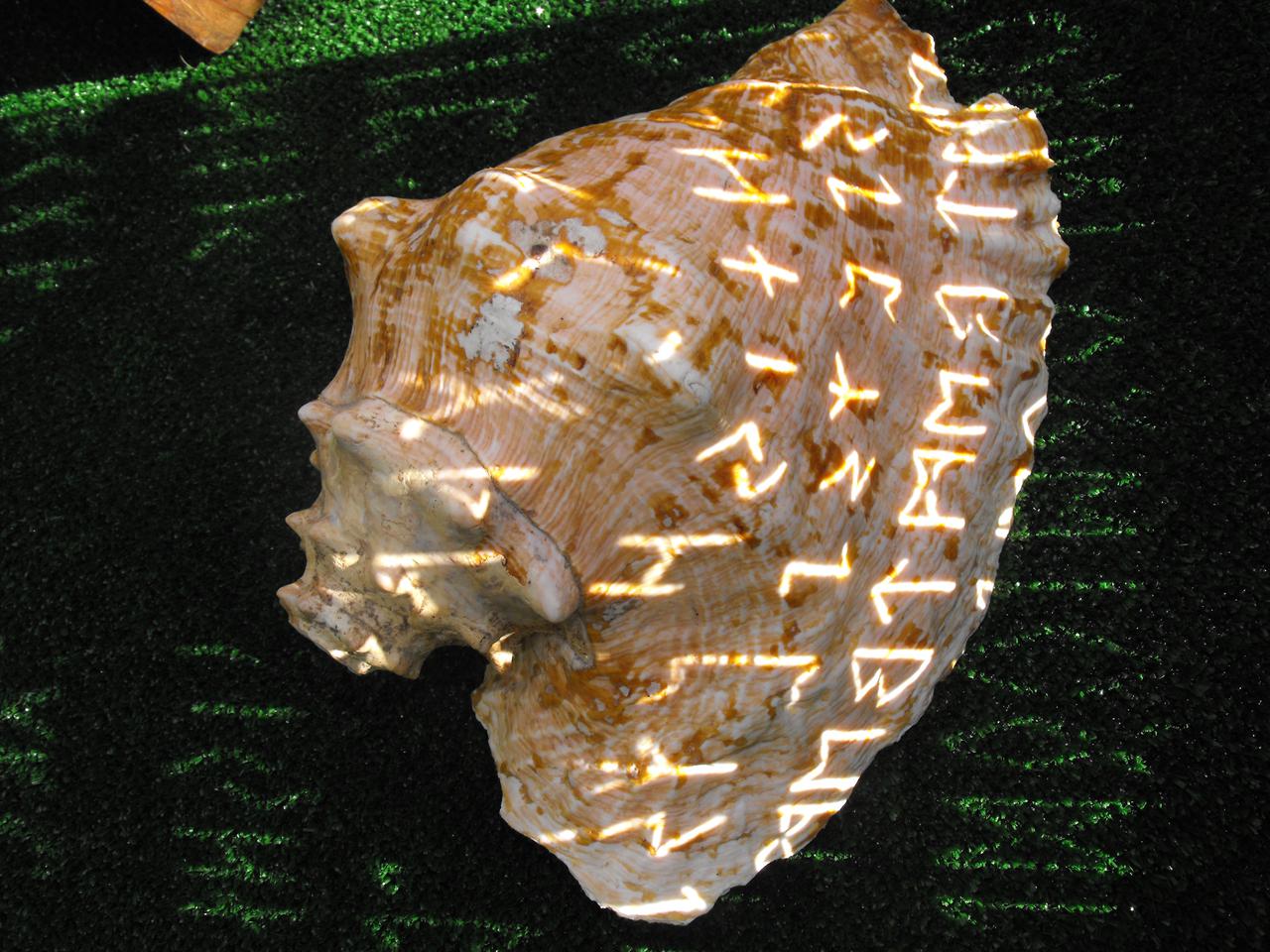 dscf7360.jpg