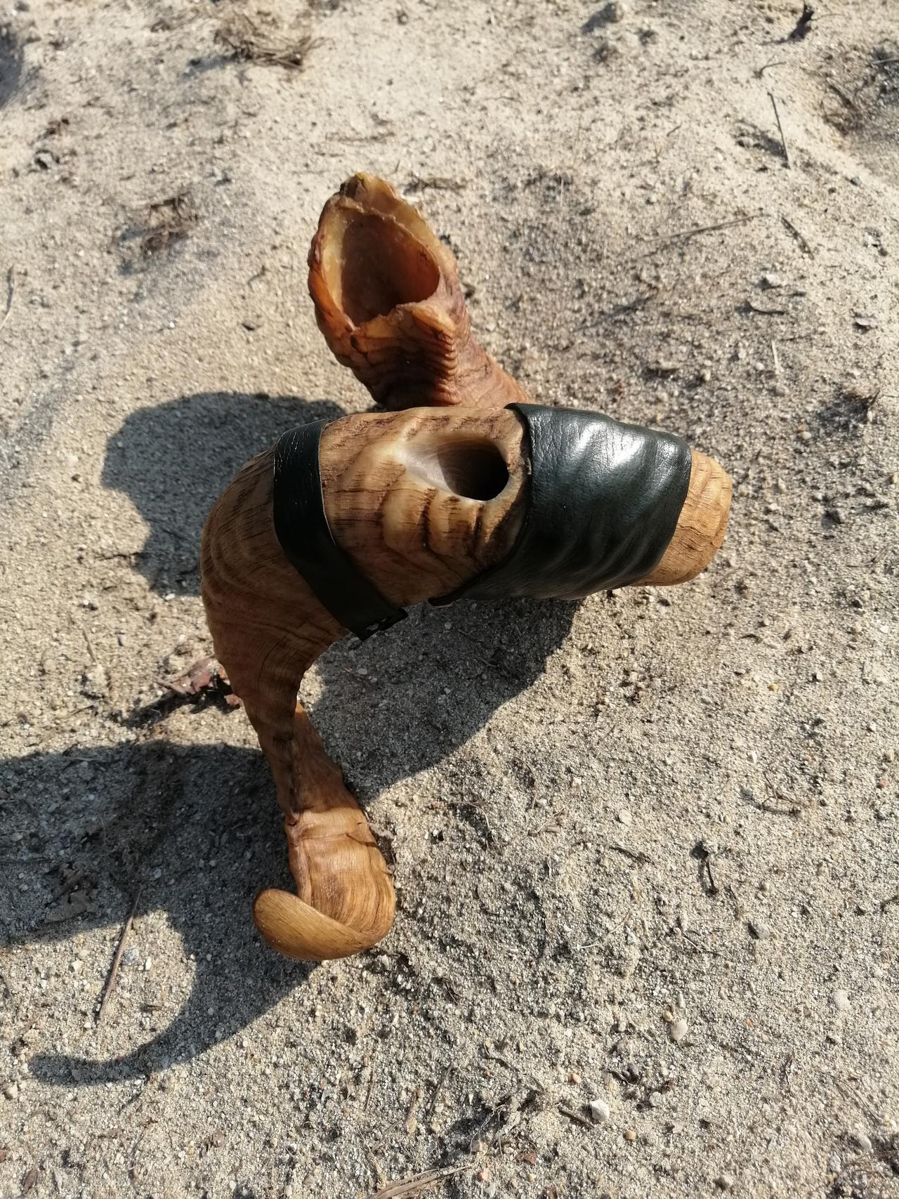 corno di ariete.jpg