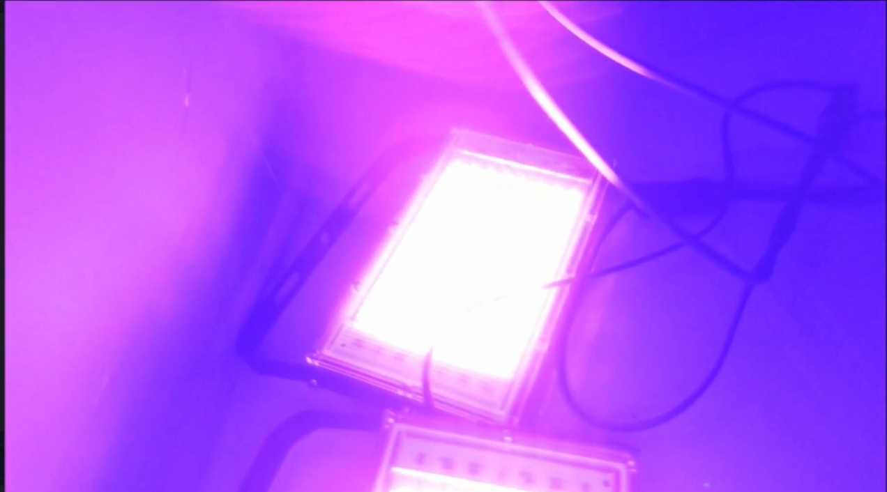 screenshot 2025-04-03 212733.png