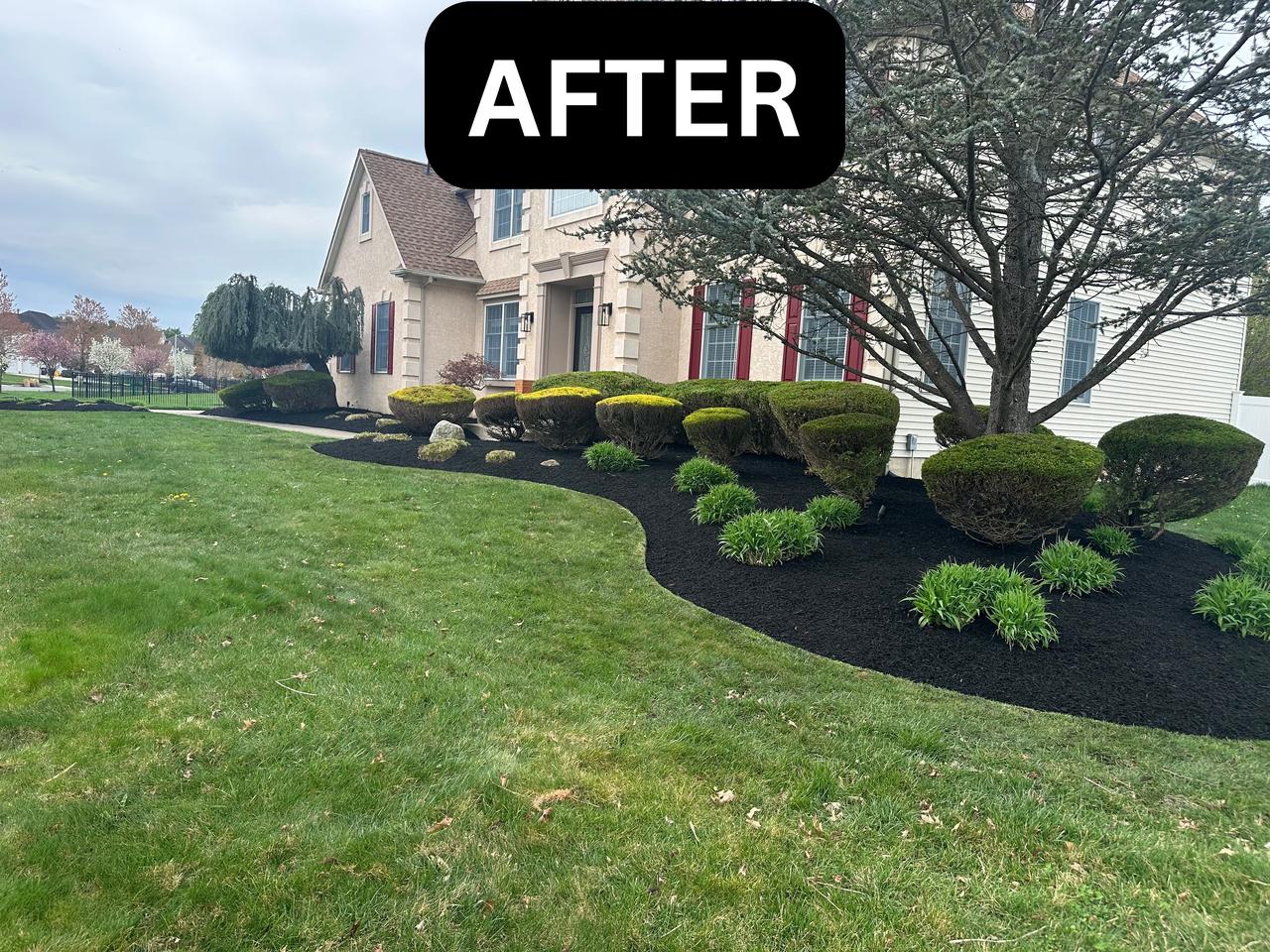 after (4).jpg
