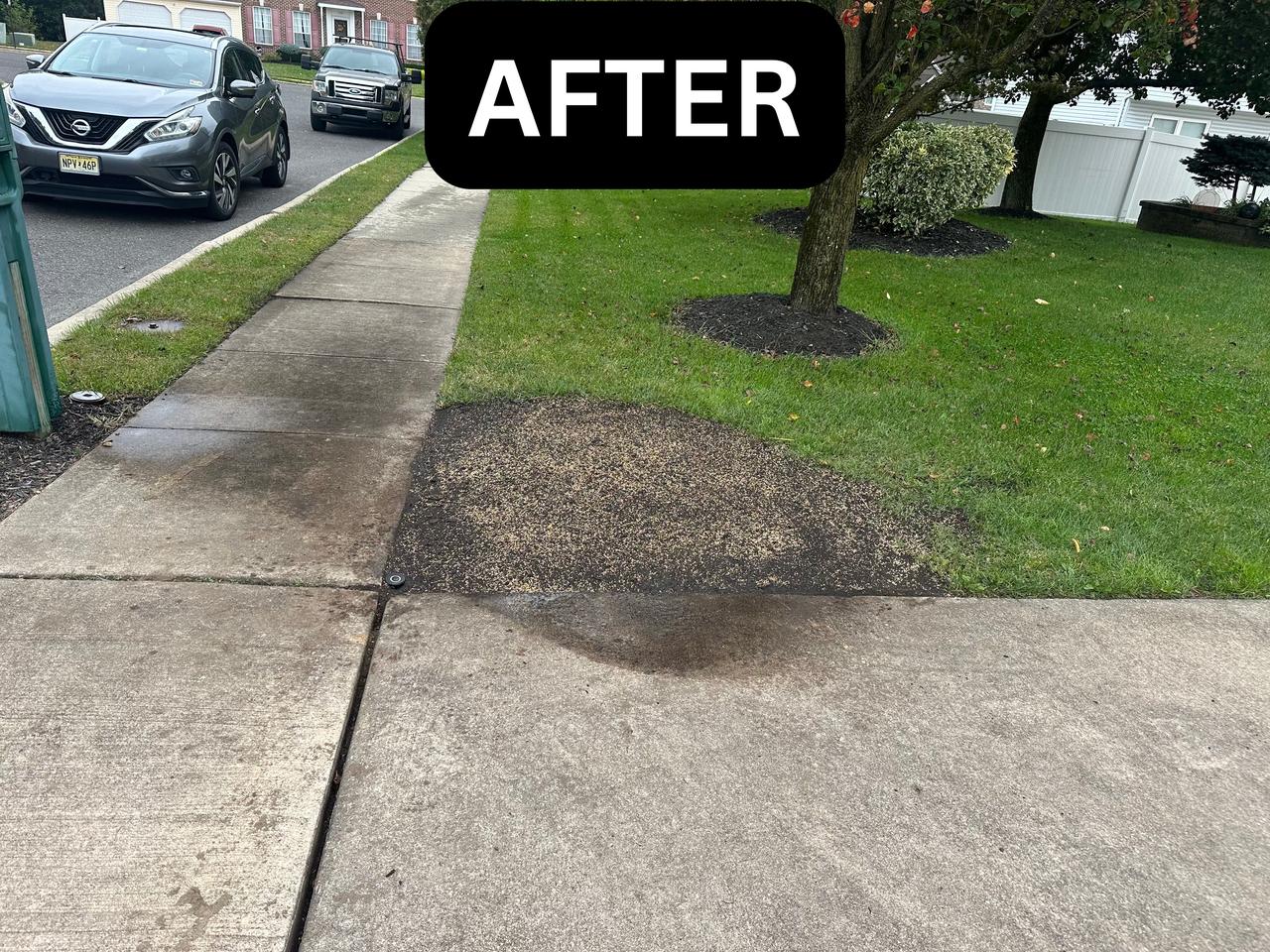 after (9).jpg