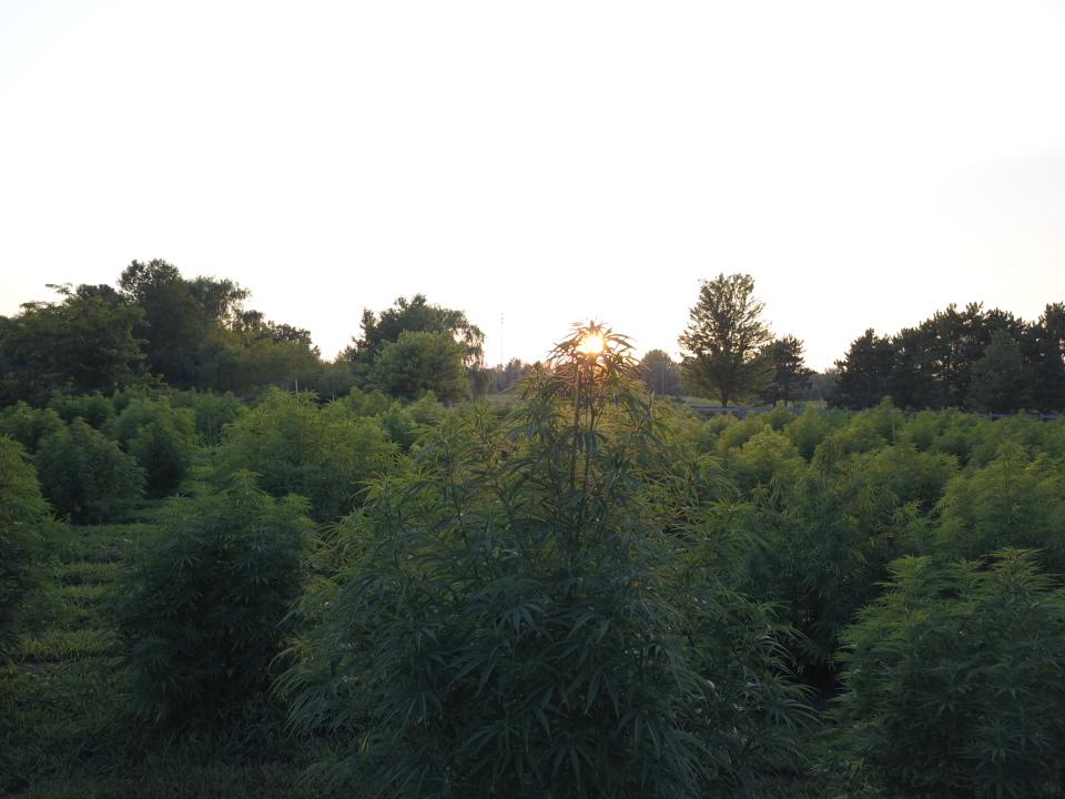 4eeaaffe-8a47-11ea-8b01-0242ac110002-resized_dji_0011.jpg