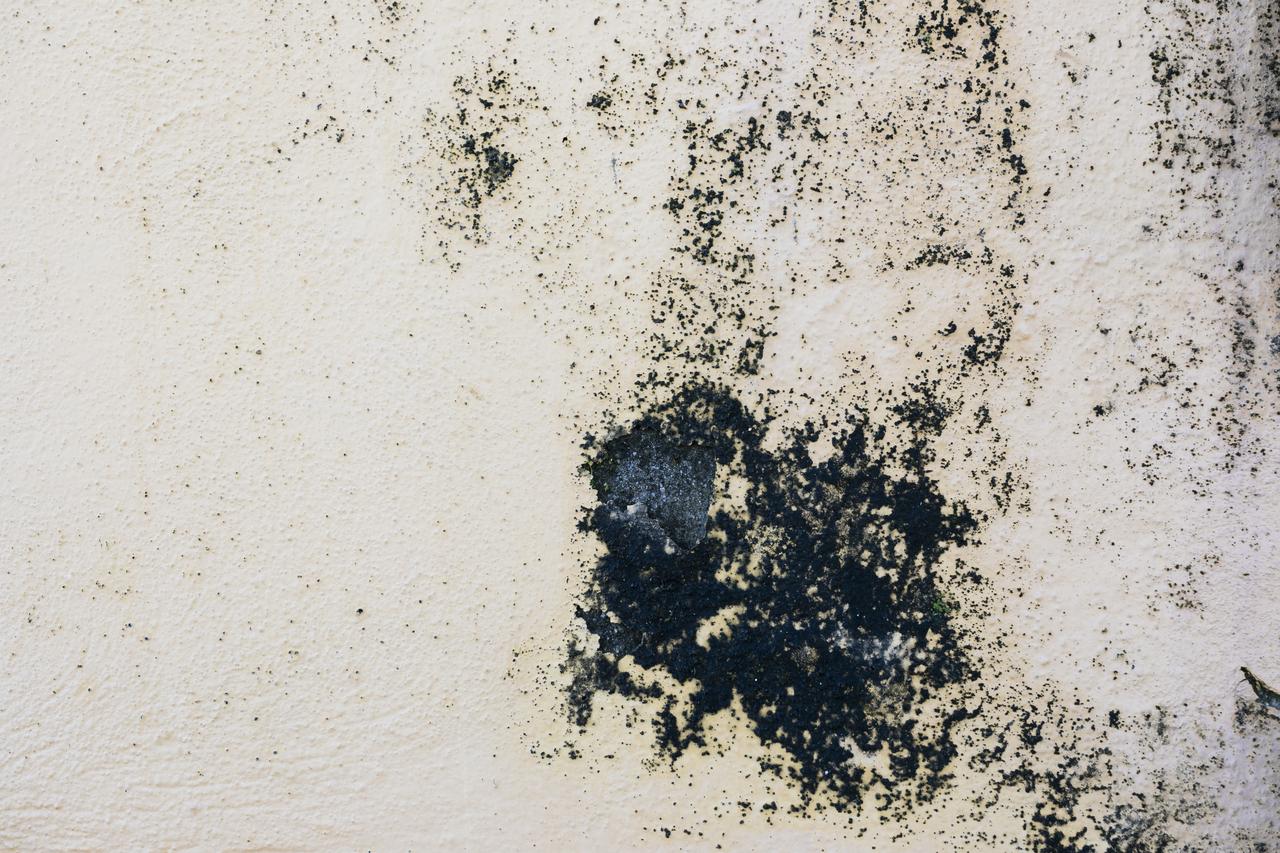 rough-concrete-wall-with-stain.jpg