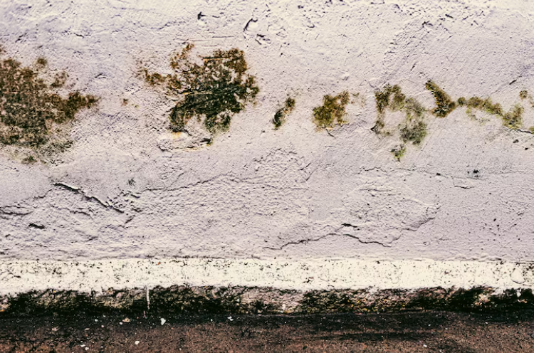 screenshot 2026-01-17 021753.png