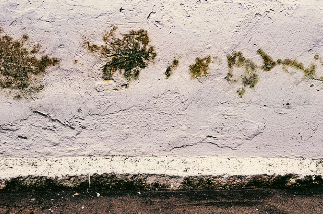 screenshot 2026-01-17 021753.png