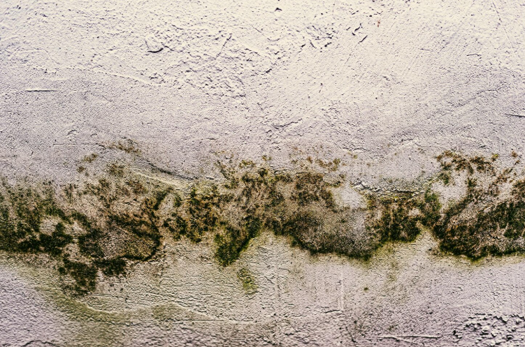 screenshot 2026-01-17 020623.png