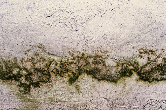 screenshot 2026-01-17 020623.png