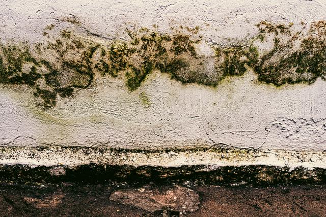 efficient waterproofing team.jpg