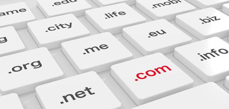 domain & hosting logo.jpg