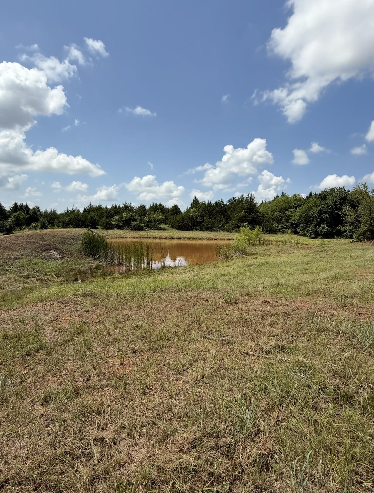 Beale's Land Services project photo