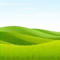 Green Grassland