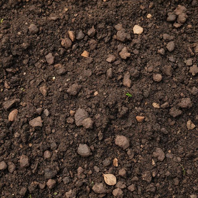 garden top soil.jpg