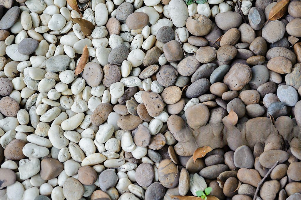 decorative rock 2.jpg