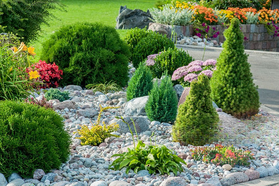 curb appeal 1.png