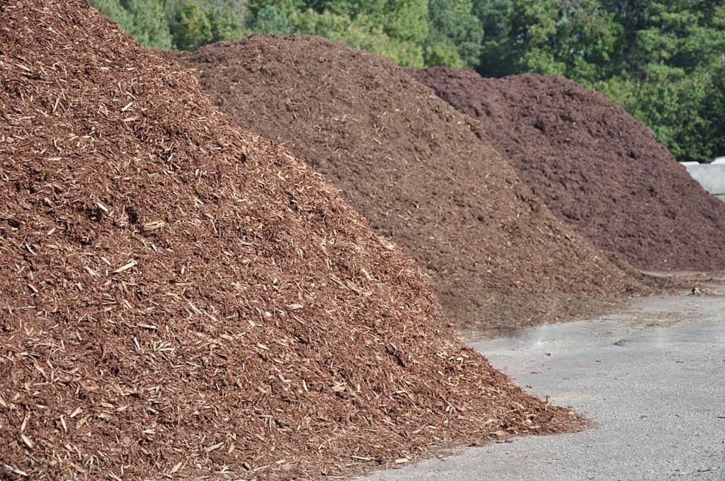 mulch pile 1.jpeg