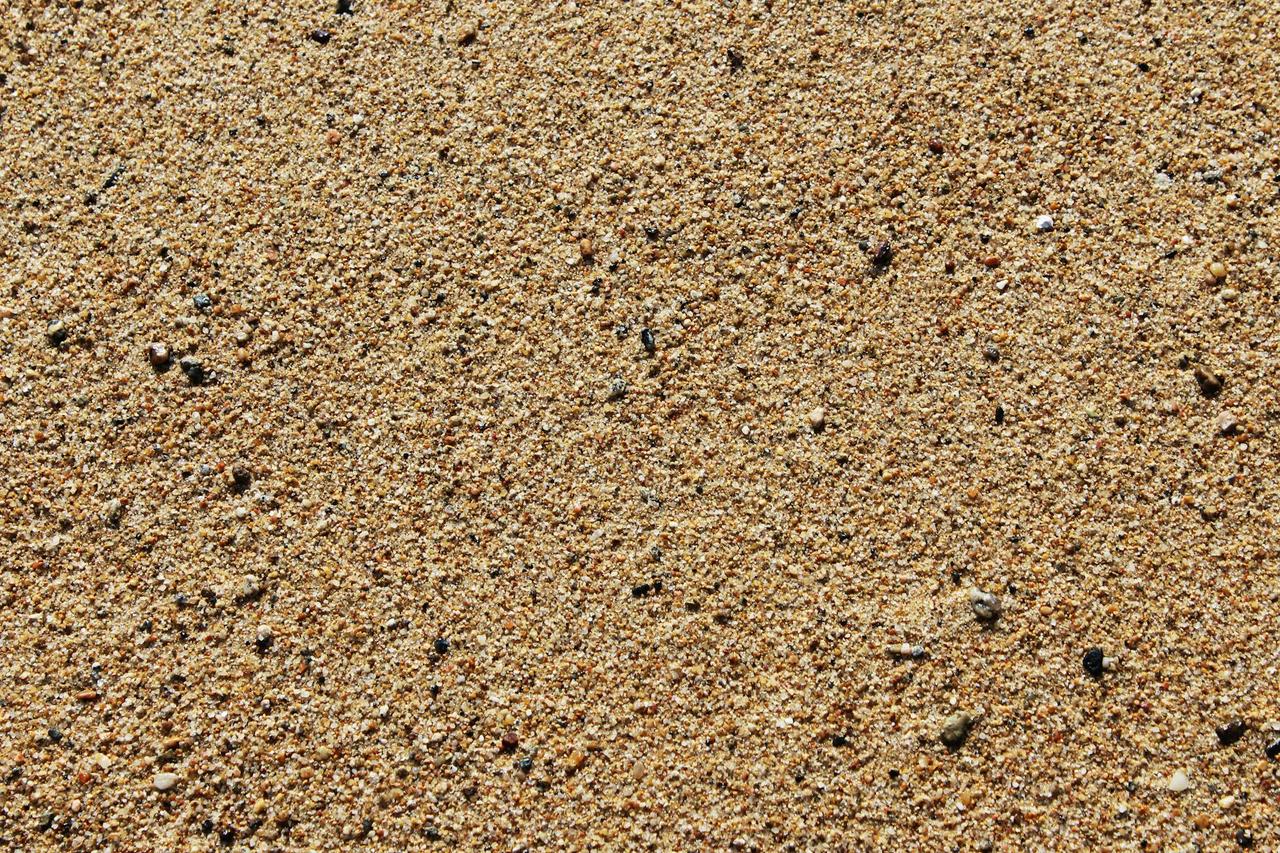 Detailed close-up of sandy beach surface displaying texture and tiny pebbles.