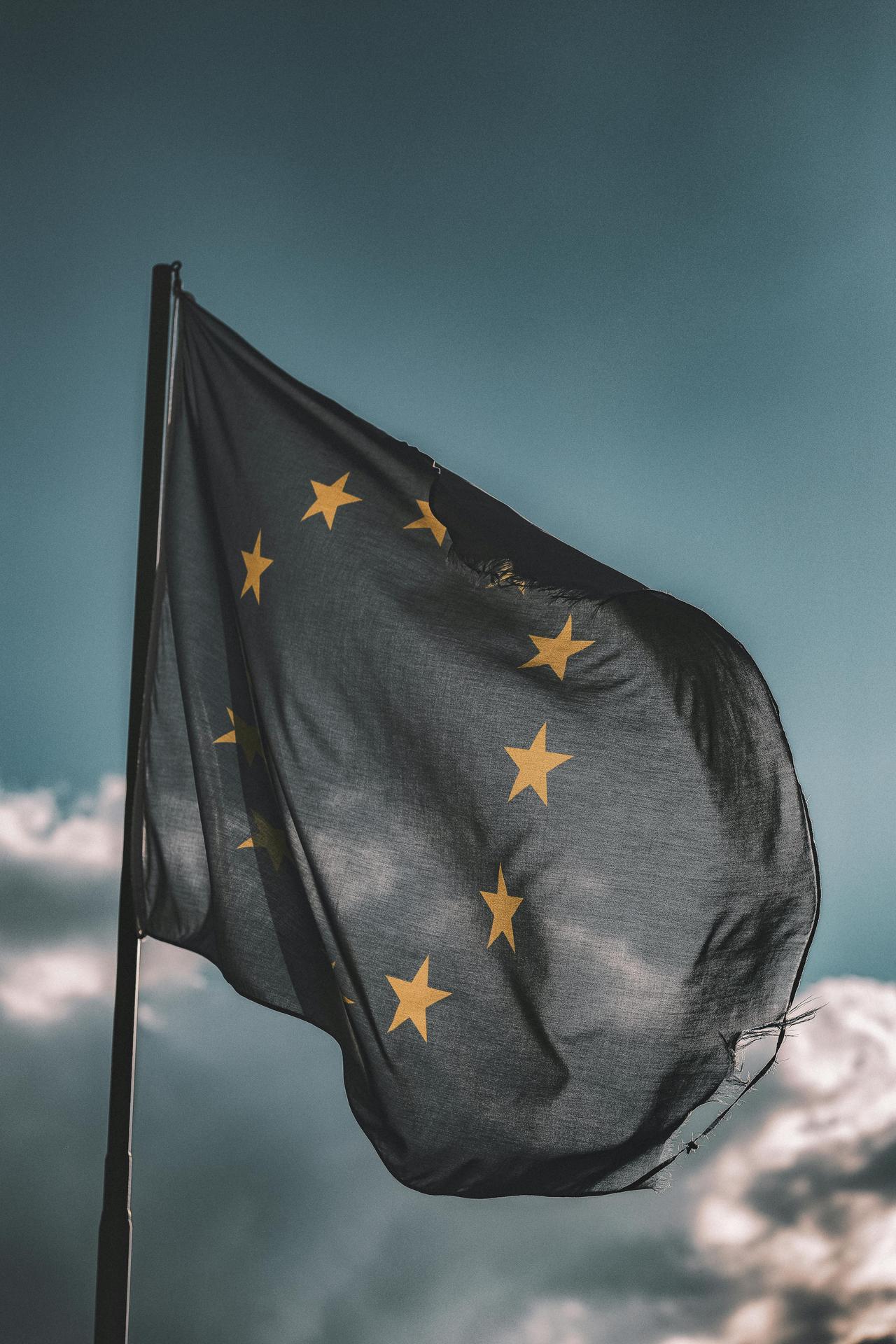 pexels-eberhardgross-1743364.jpg