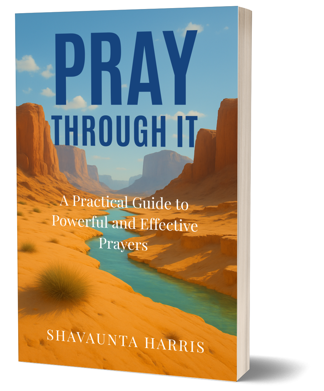 Pray Through It book cover