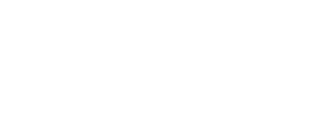 las vegas review journal white 2.png