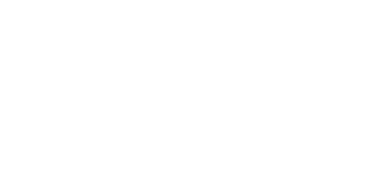 white logo on transparent.png