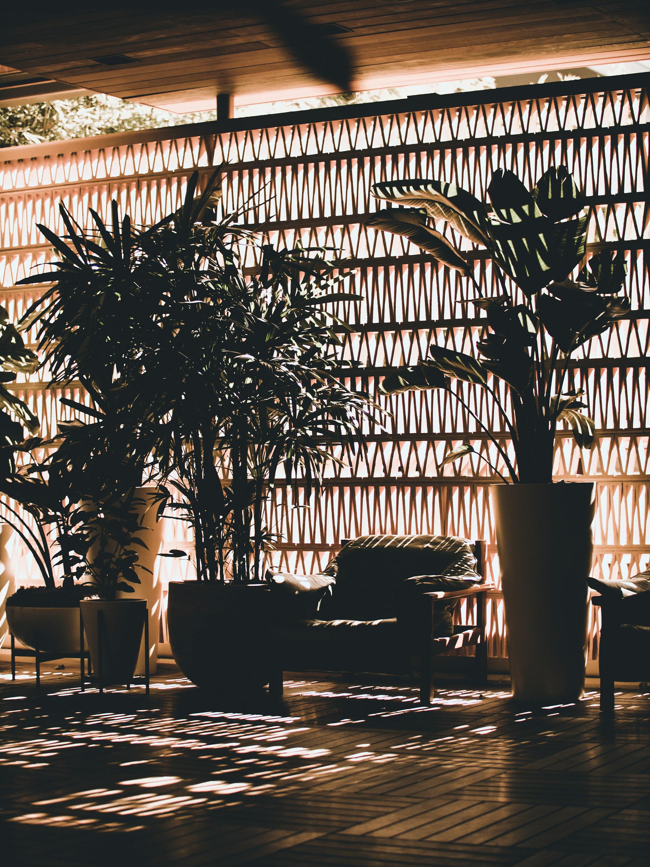 Ok so it’s definitely been a minute since I’ve posted on Unsplash but I’m excited to start sharing my photos again. I took this beaut in on my recent trip to Hawaii and it was in the Lobby of our hotel. I love how moody the vibe was here. Also great hotel (The Laylow in case you were curious). Expect many more photos coming soon.