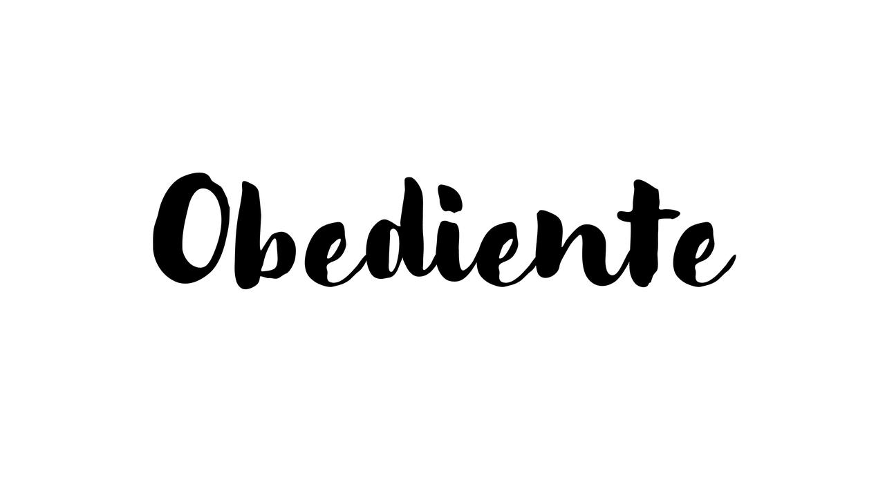 obediente.jpg