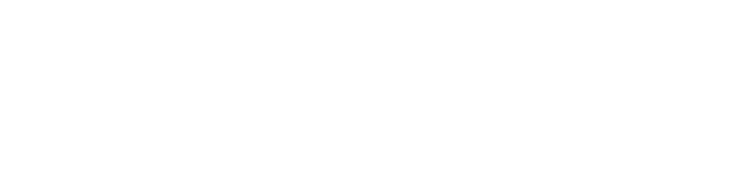 Sponsor
