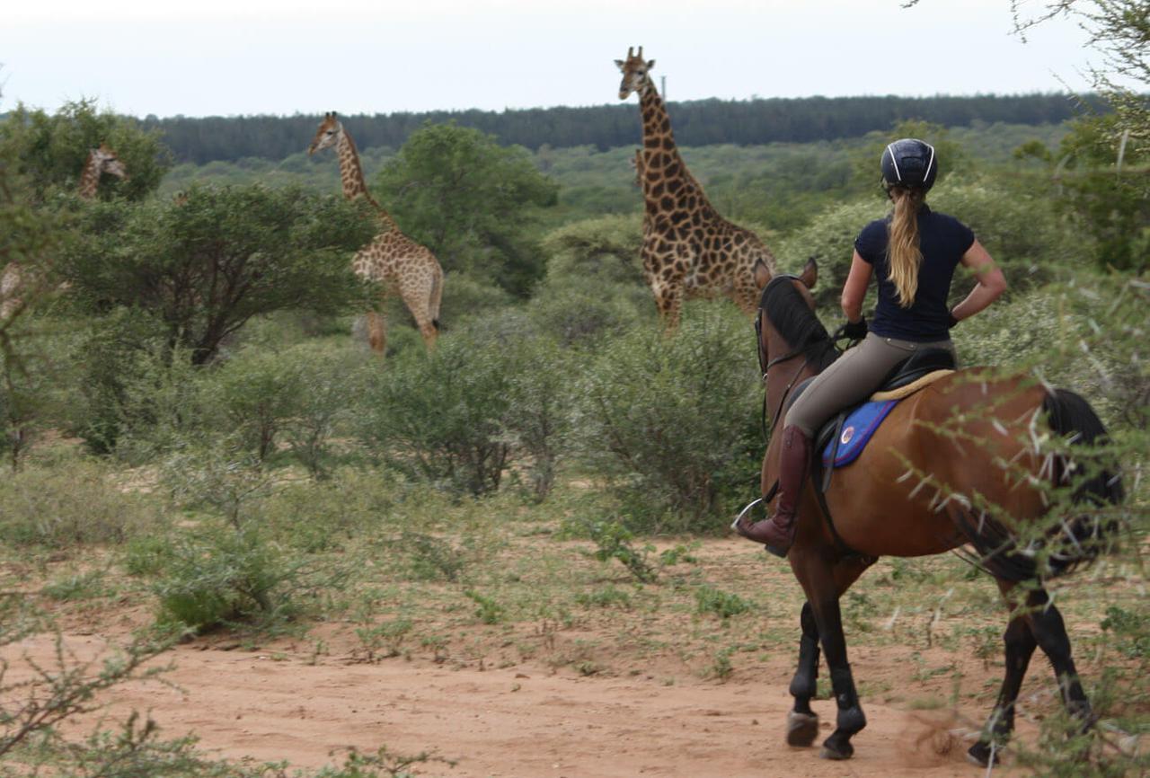 paardrijden-zuid-afrika.jpg