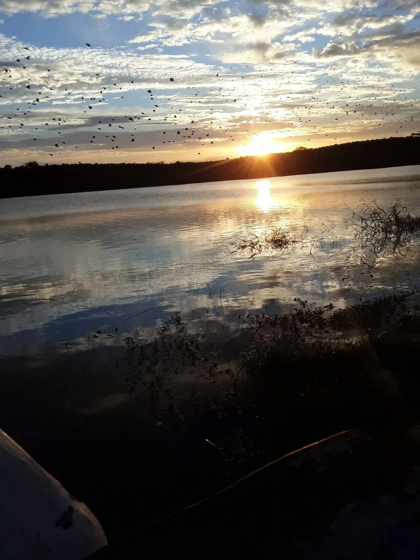 0d0b9428a31ab9cb3c196be406fd0ec8_1738065264422_0.webp.jpg