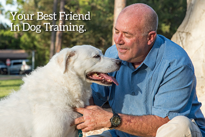 Positive Touch Dog Training trainer with dog