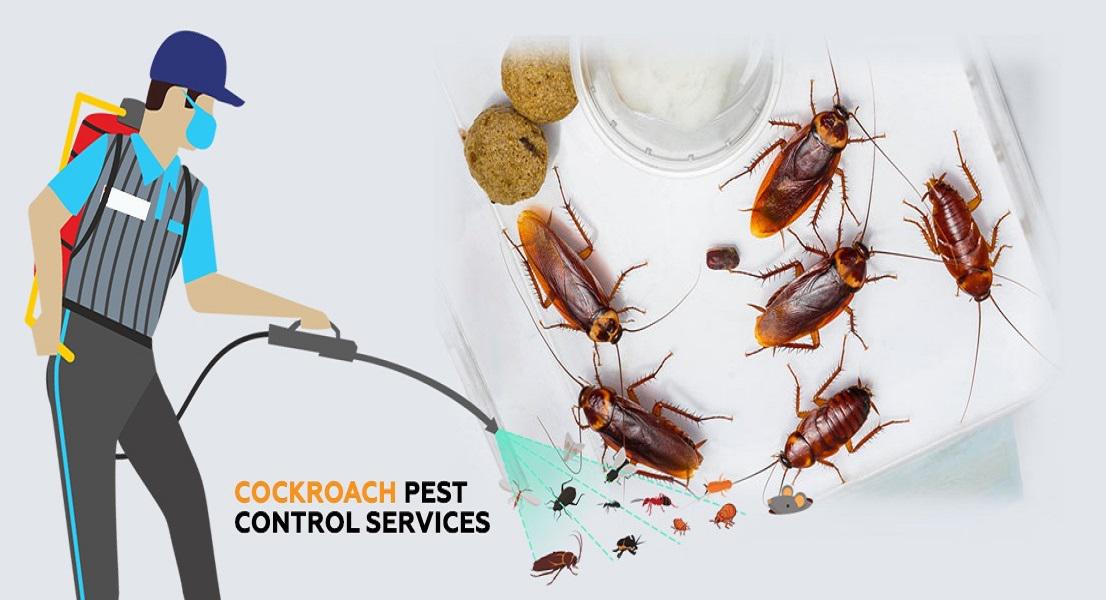 cockroach-control-services.jpg