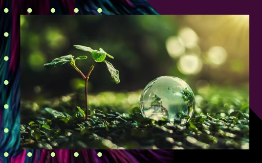 screenshot 2025-02-10 134234.png