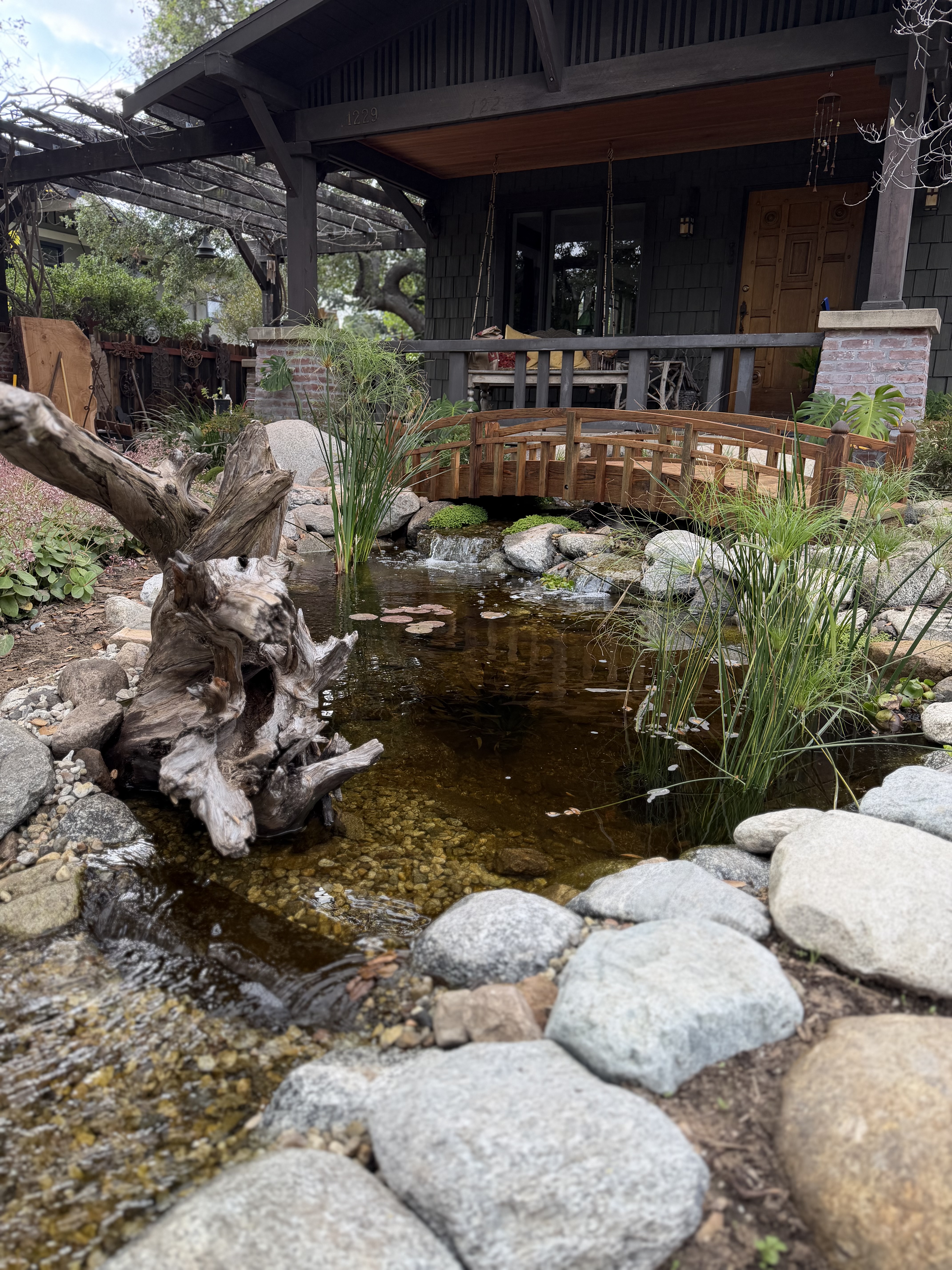 Beautiful koi pond with clear water and natural stone landscaping