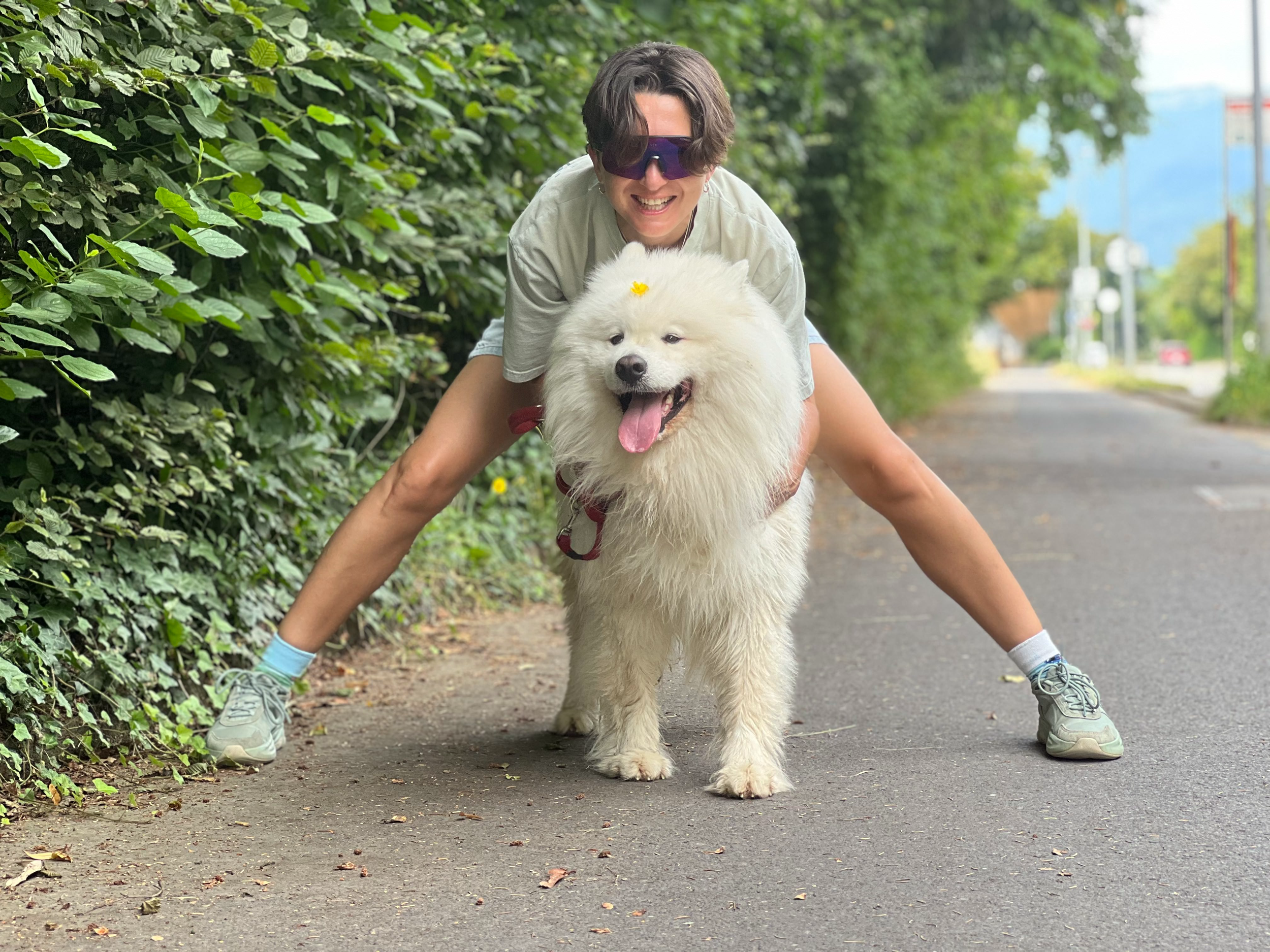 pet_walking.jpg