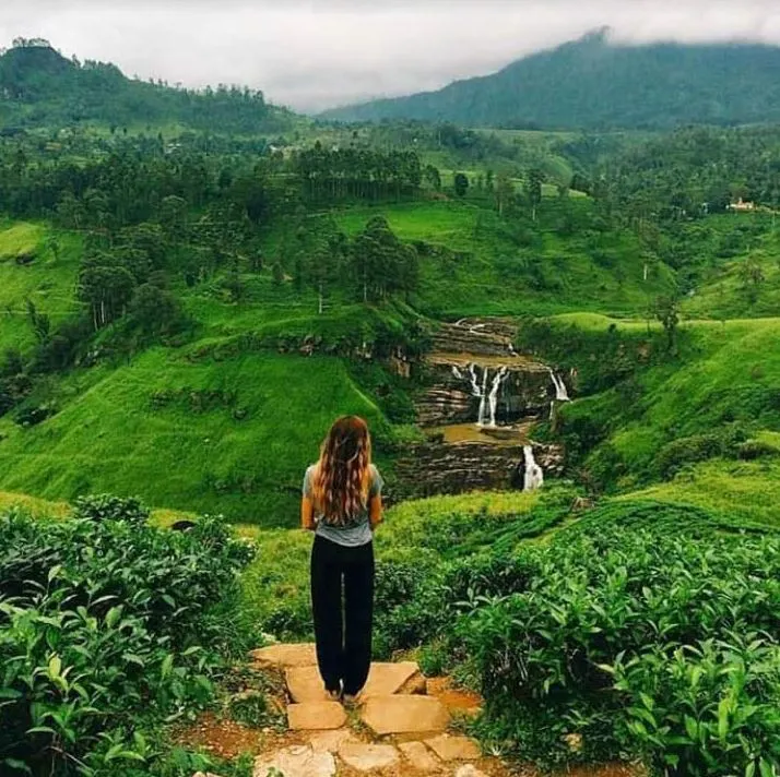 srilanka-travel-and-tourism.webp