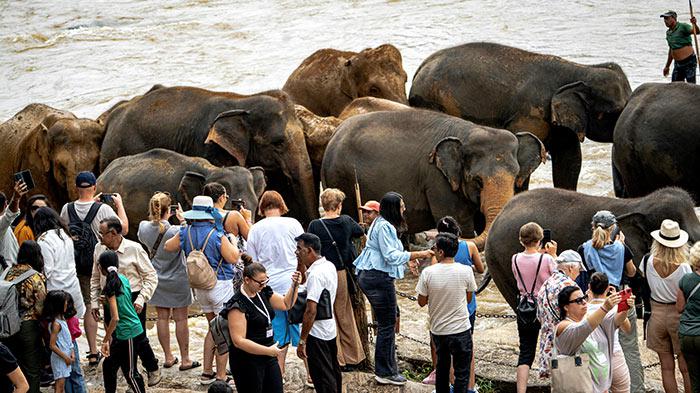sri-lanka-tourism.jpg