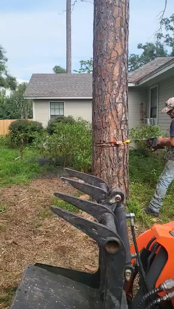 received_4741259199434059.mp4