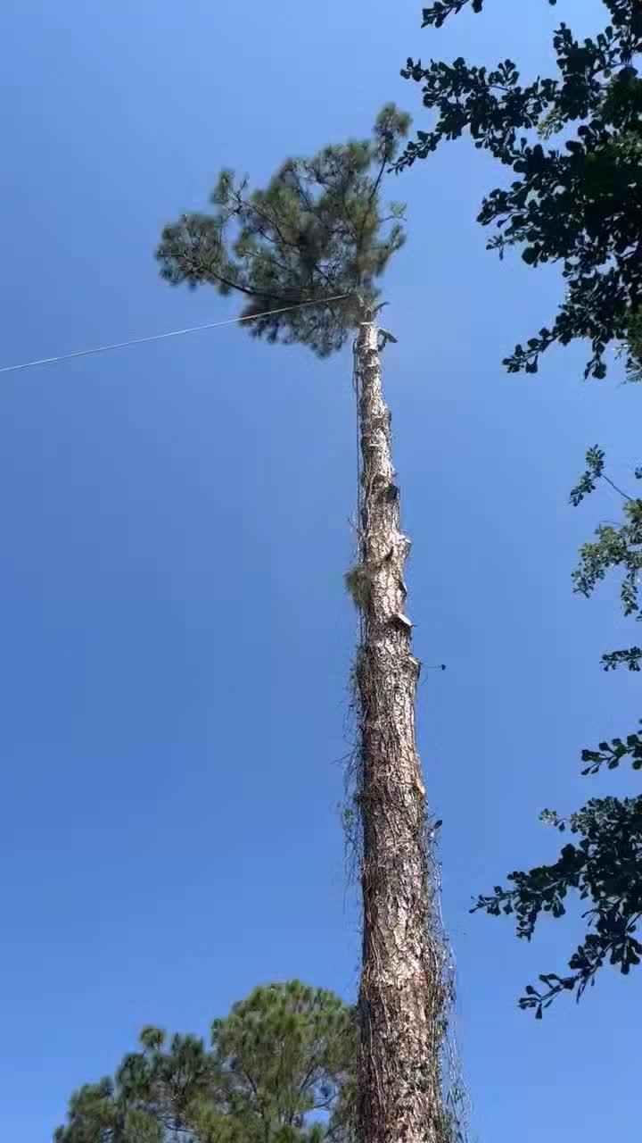 vid_20250919_160214.mp4