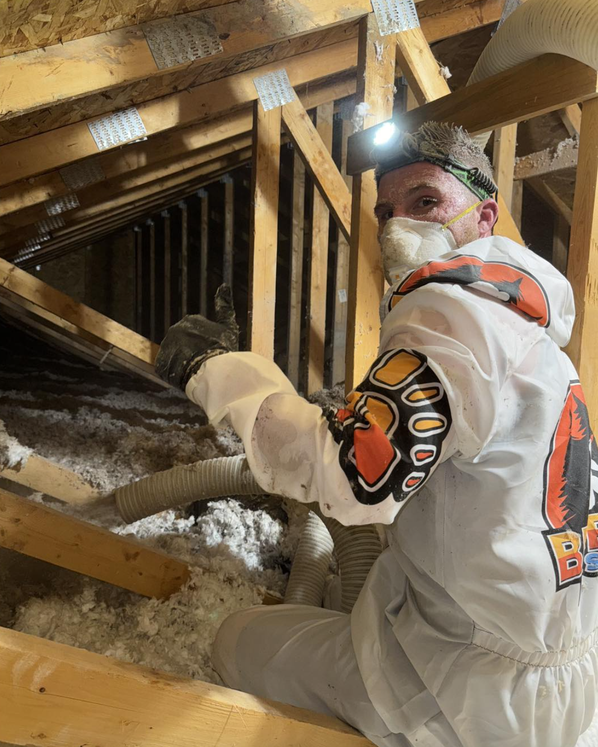 attic insulation.png