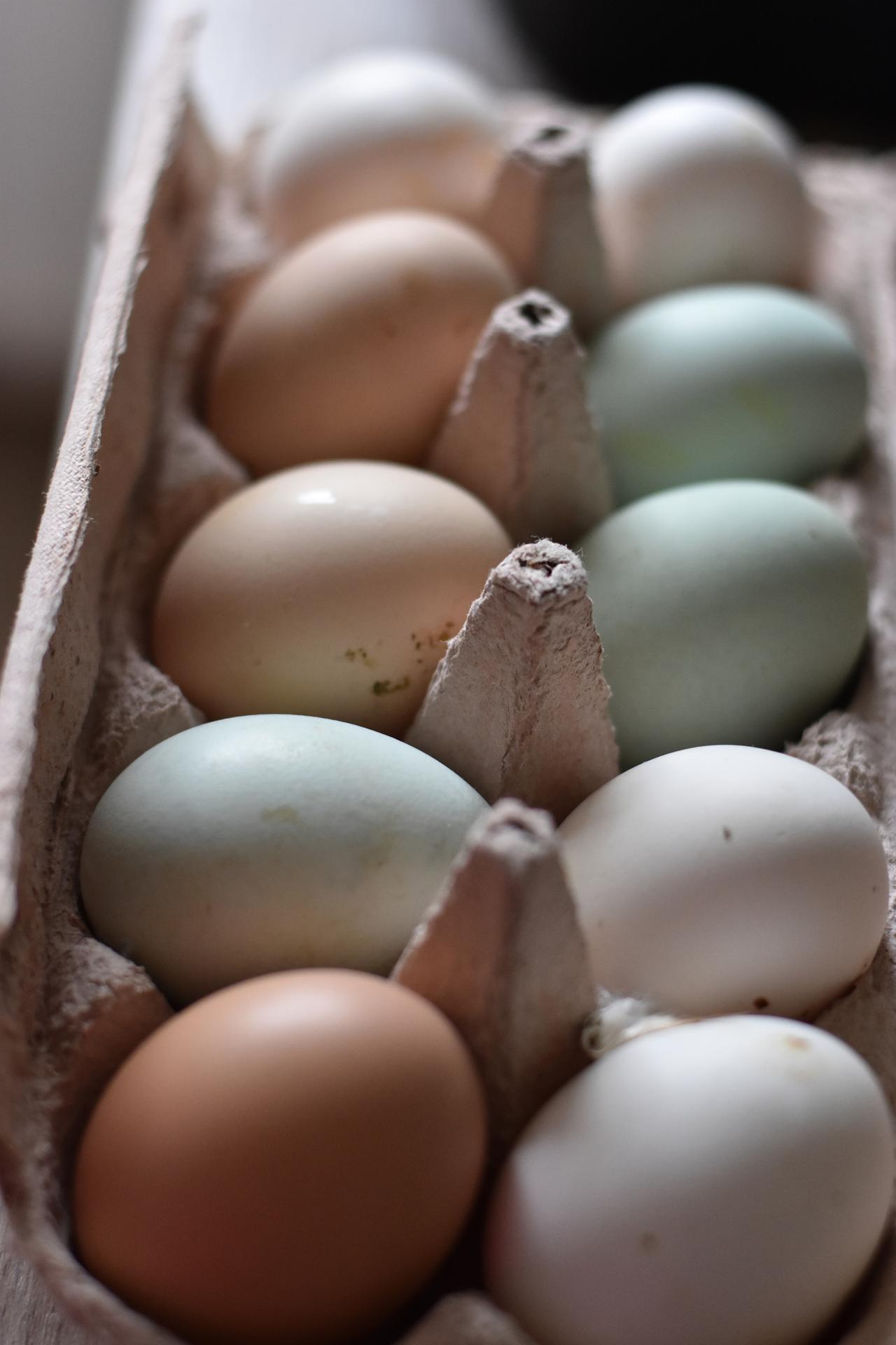 Colorful Eggs