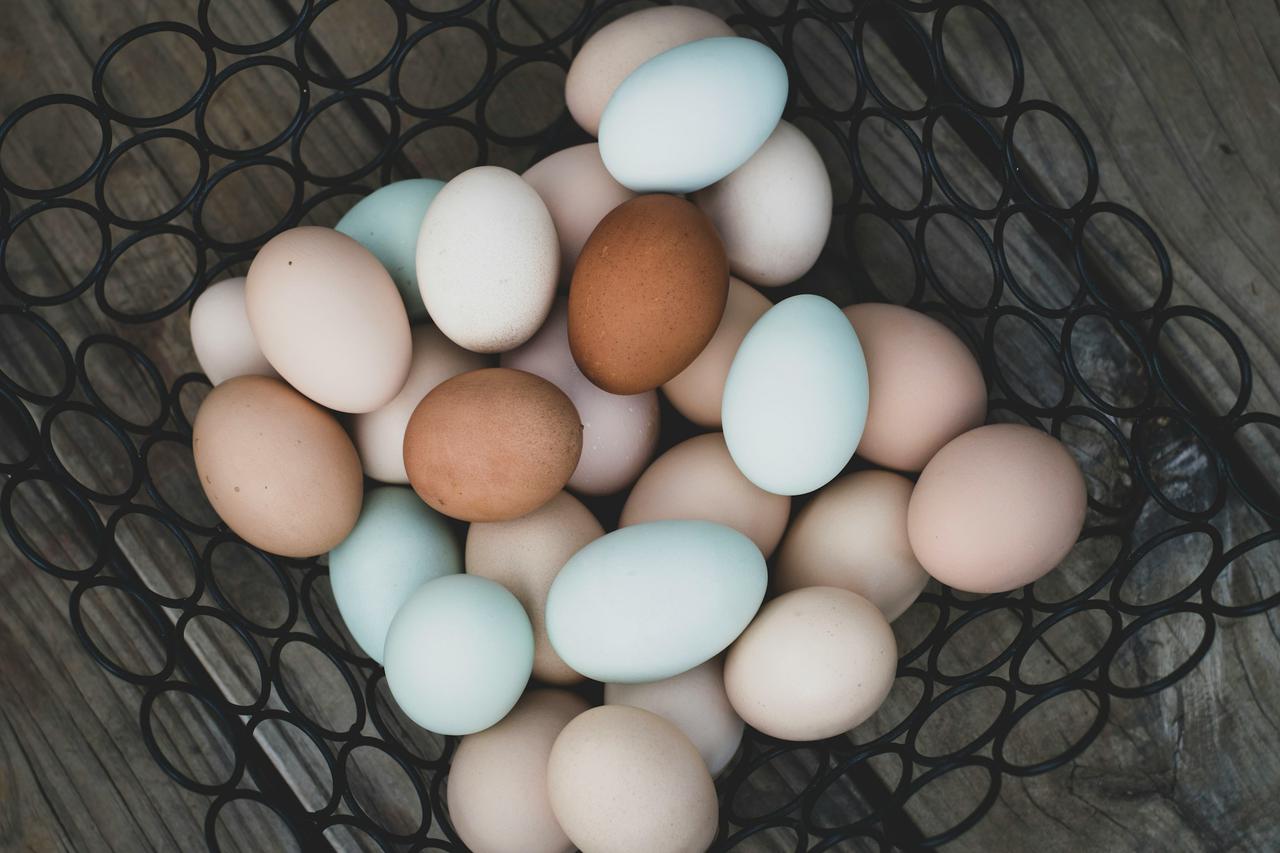 Free range eggs
