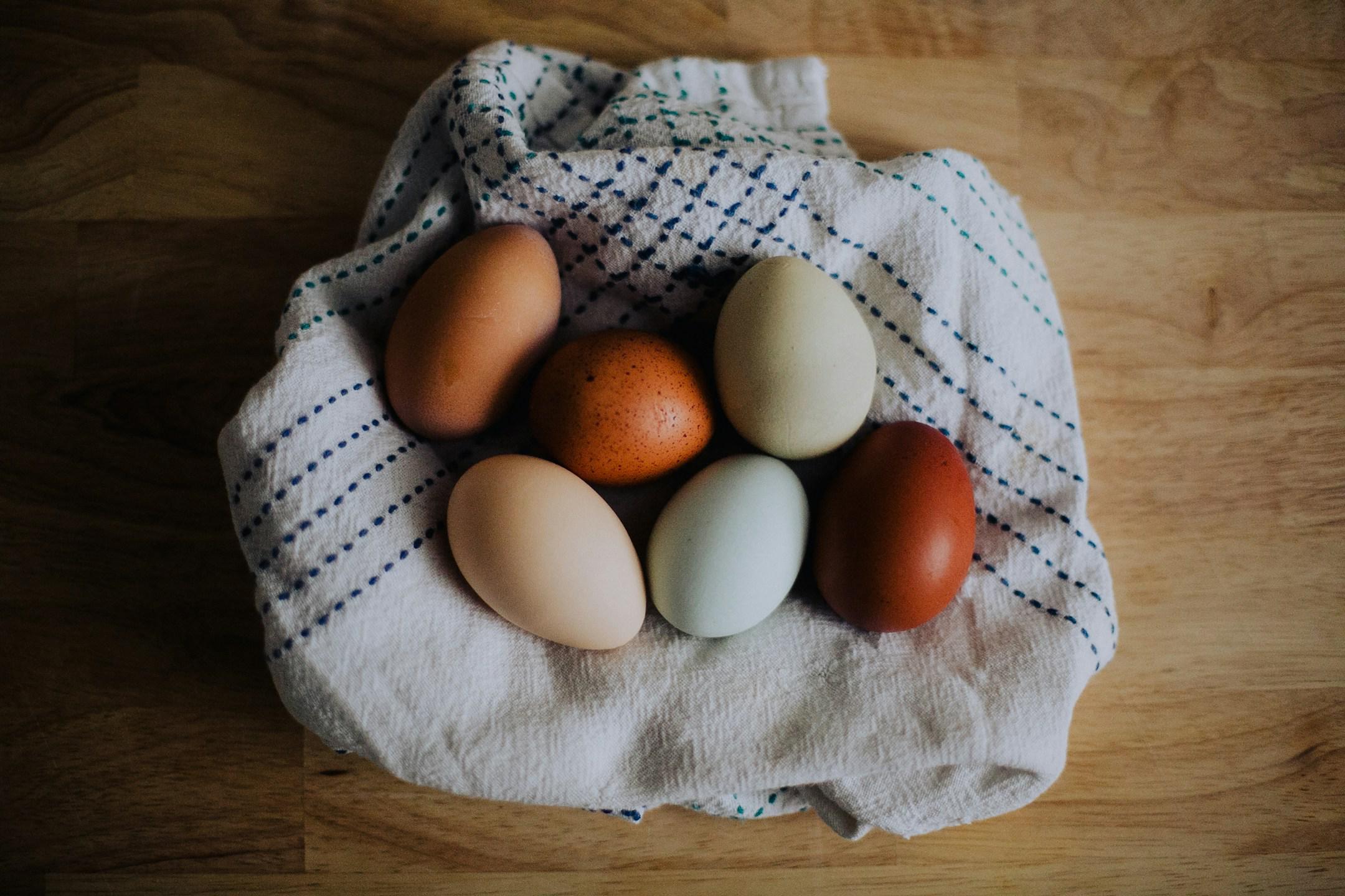 farm fresh eggs