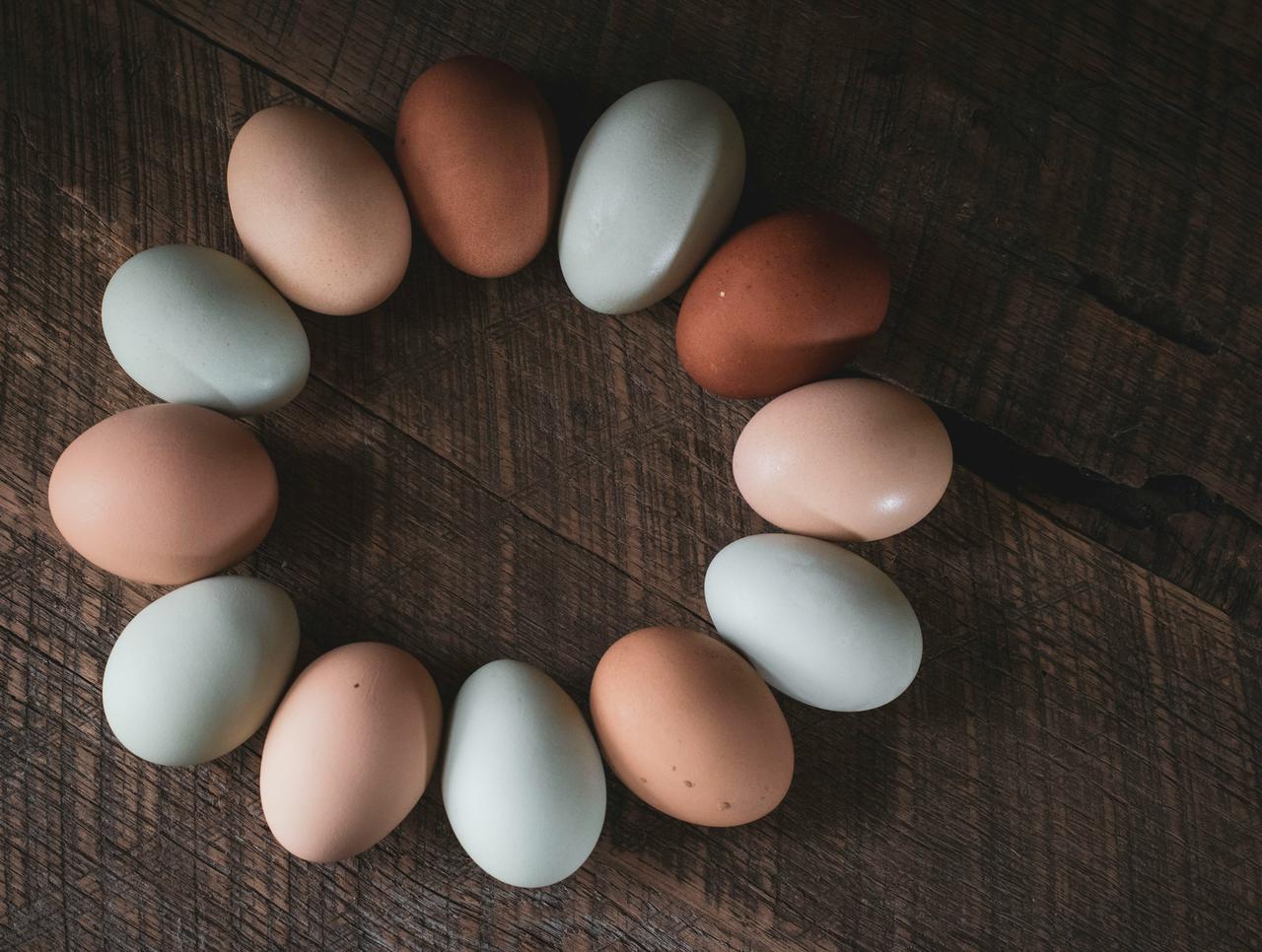 Free range eggs