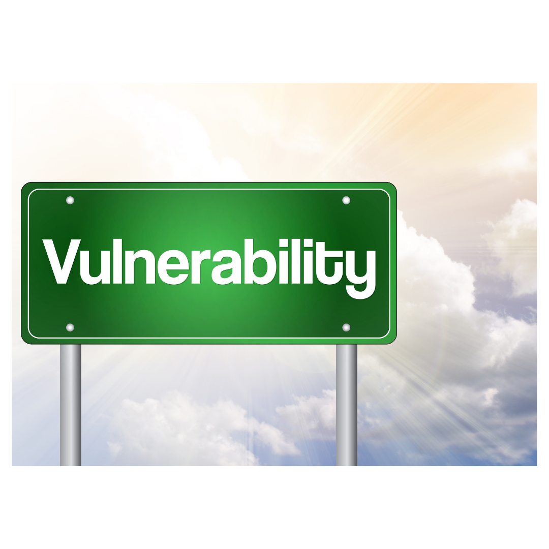 vulnerbility blog.png