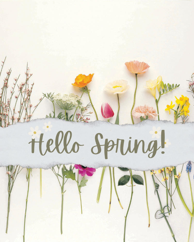 spring is a new beginning.png