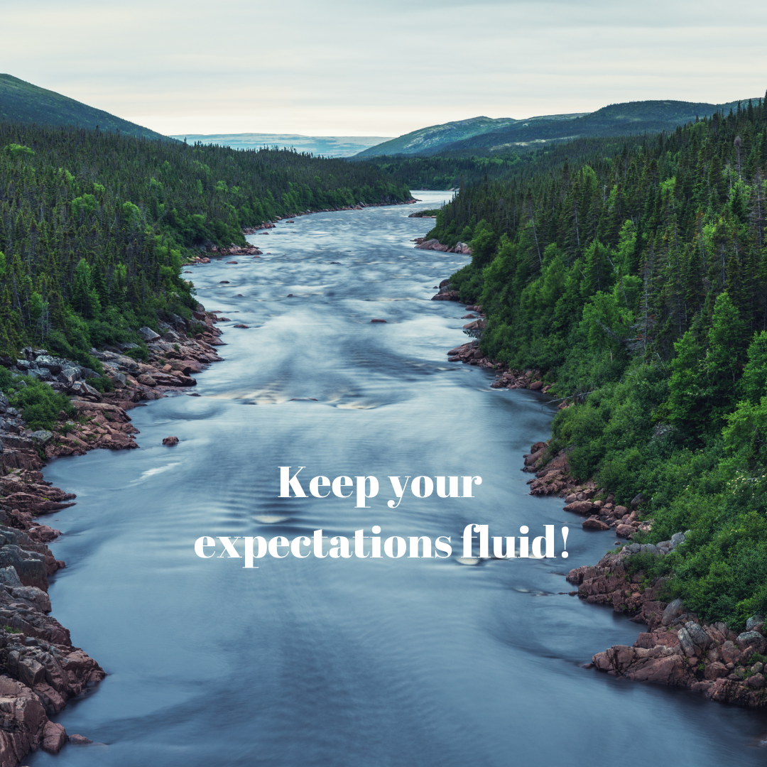 what do you expect.png